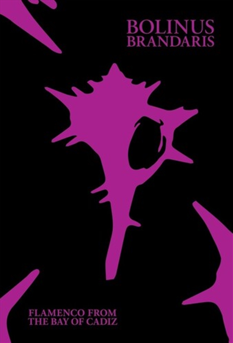 Bolinus Brandaris: Flamenco Fr/Product Detail/World