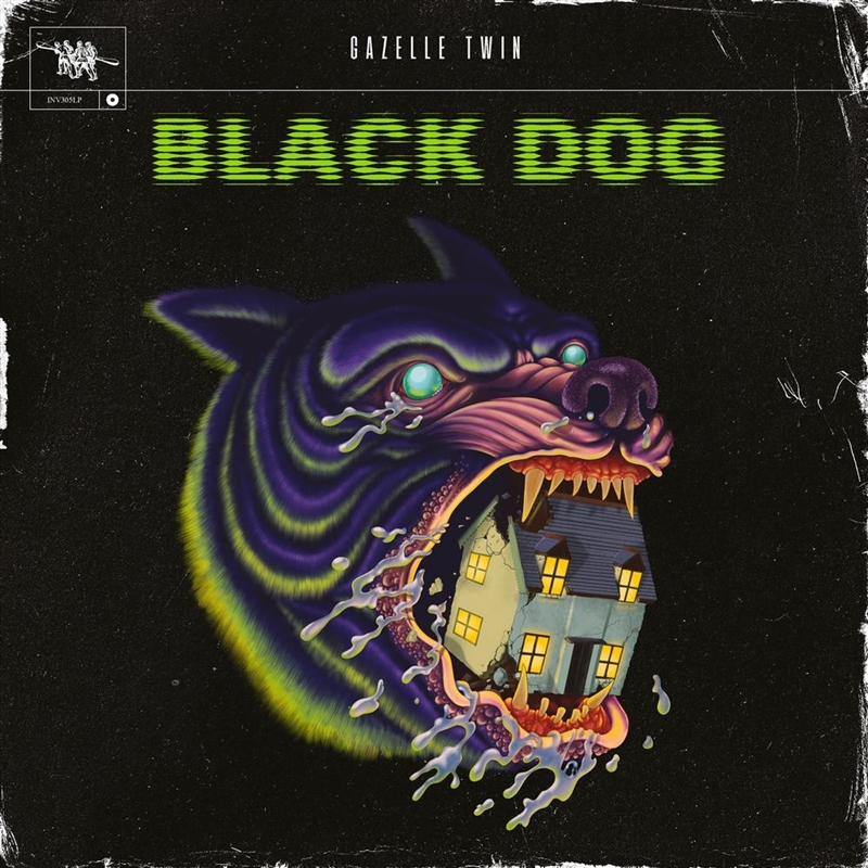 Black Dog (Frosted Clear Vinyl)/Product Detail/Rock/Pop