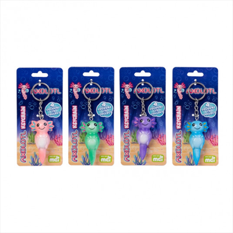Keychain Axolotl (SENT AT RANDOM)/Product Detail/Novelty & Gifts