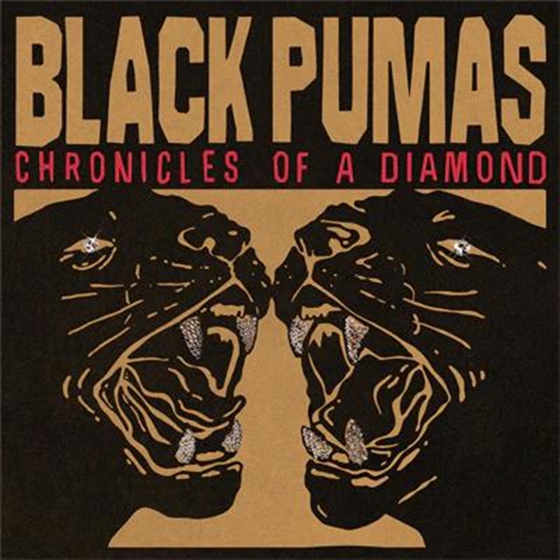 Chronicles of a Diamond/Product Detail/Rock/Pop