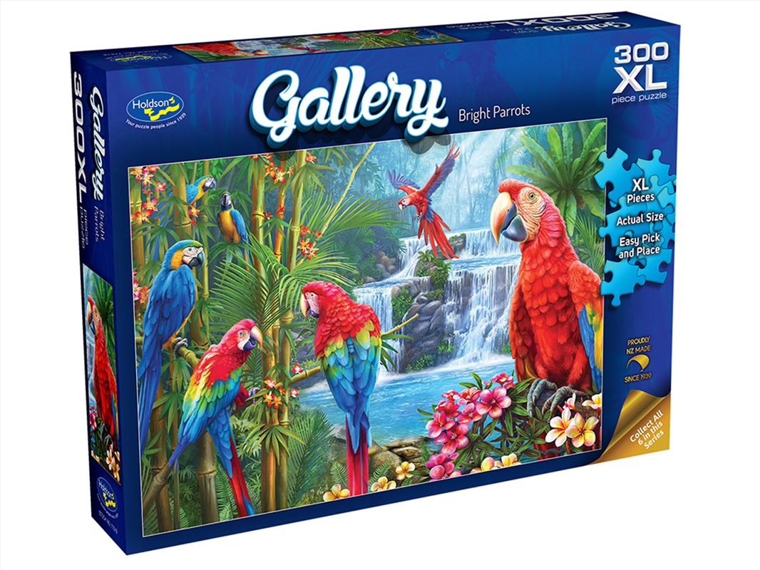 Gallery 9 Parrots 300Pcxl/Product Detail/Jigsaw Puzzles
