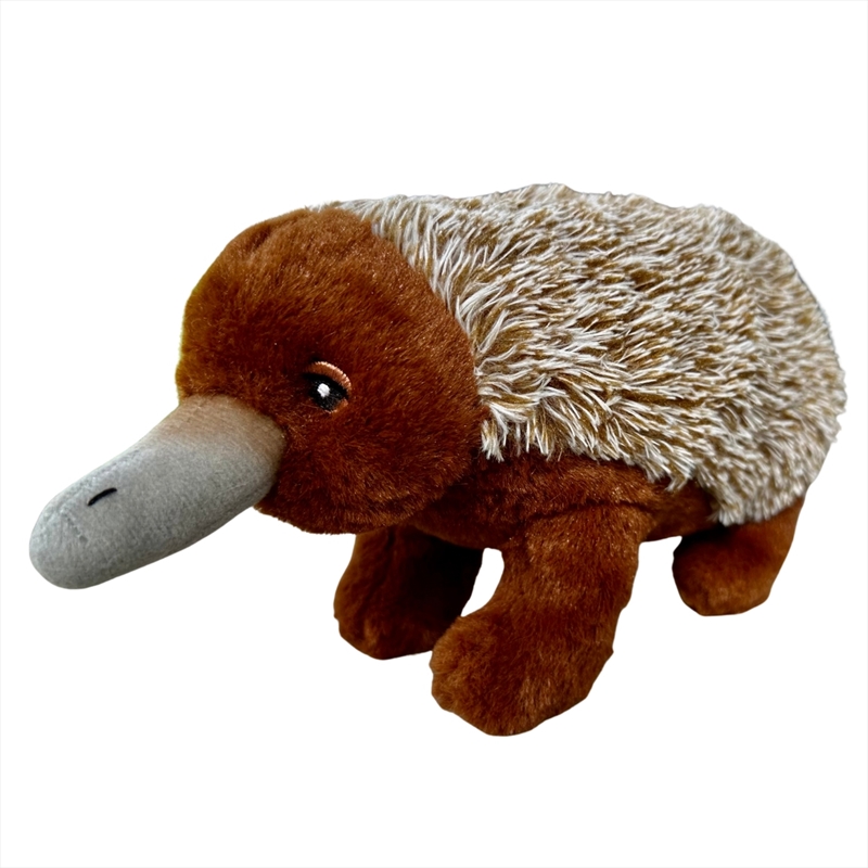 Eco Echidna Plush Toy/Product Detail/Plush Toys