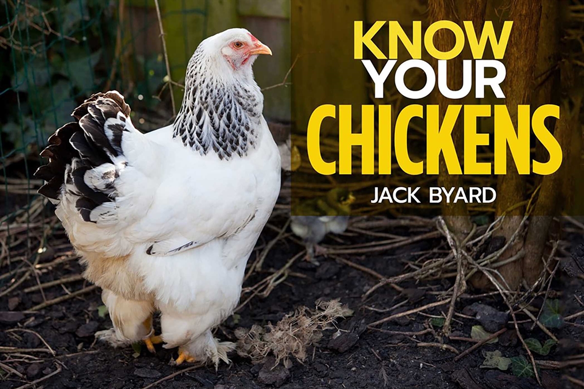 Know Your Chickens/Product Detail/Animals & Nature