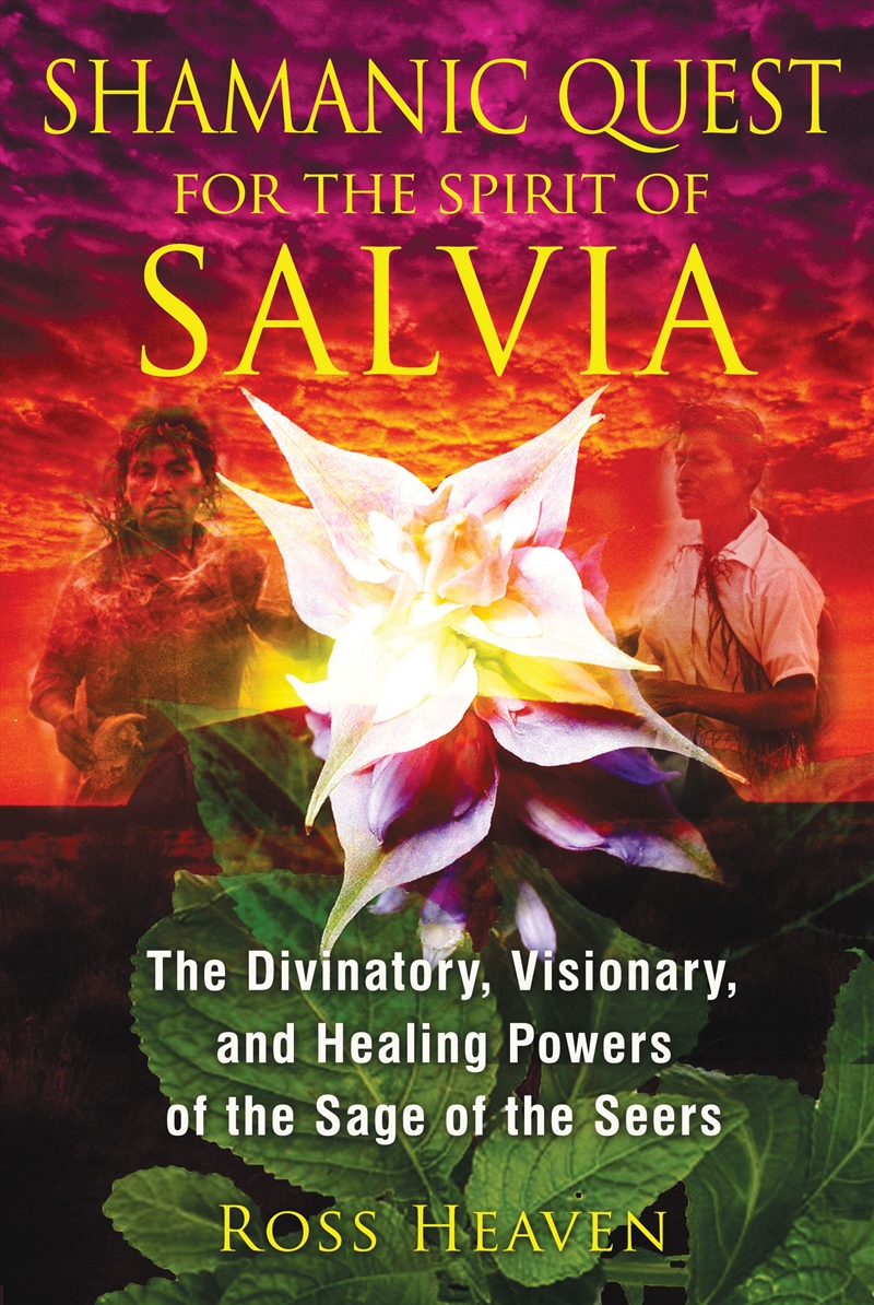 Shamanic Quest for the Spirit of Salvia/Product Detail/Religion & Beliefs