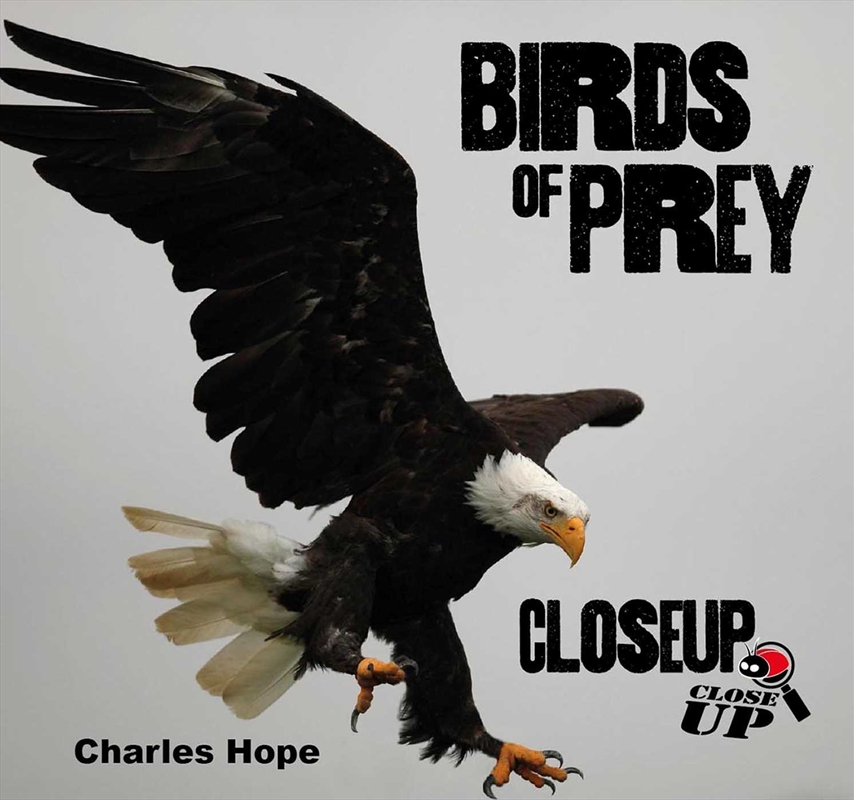 Birds of Prey CloseUp/Product Detail/Animals & Nature