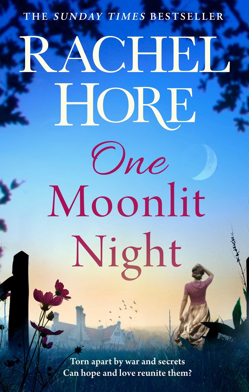 One Moonlit Night/Product Detail/General Fiction Books