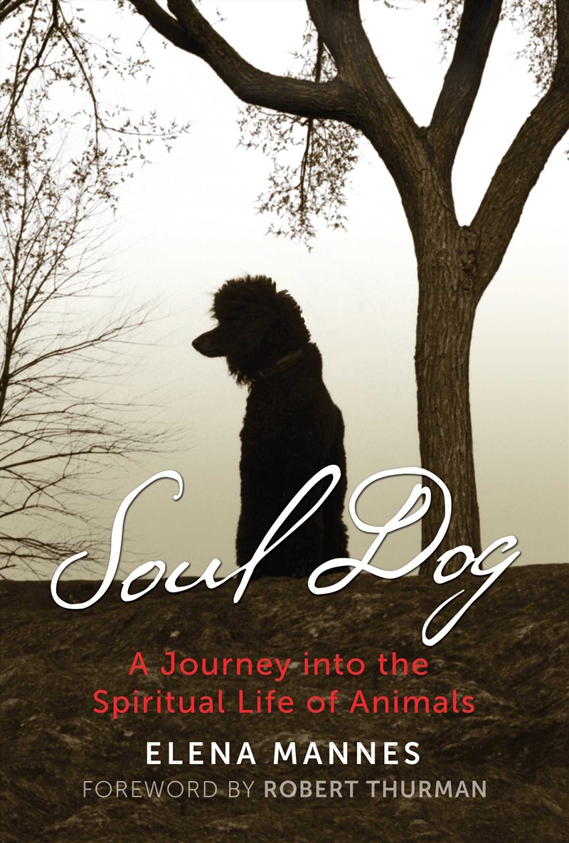 Soul Dog/Product Detail/Psychology