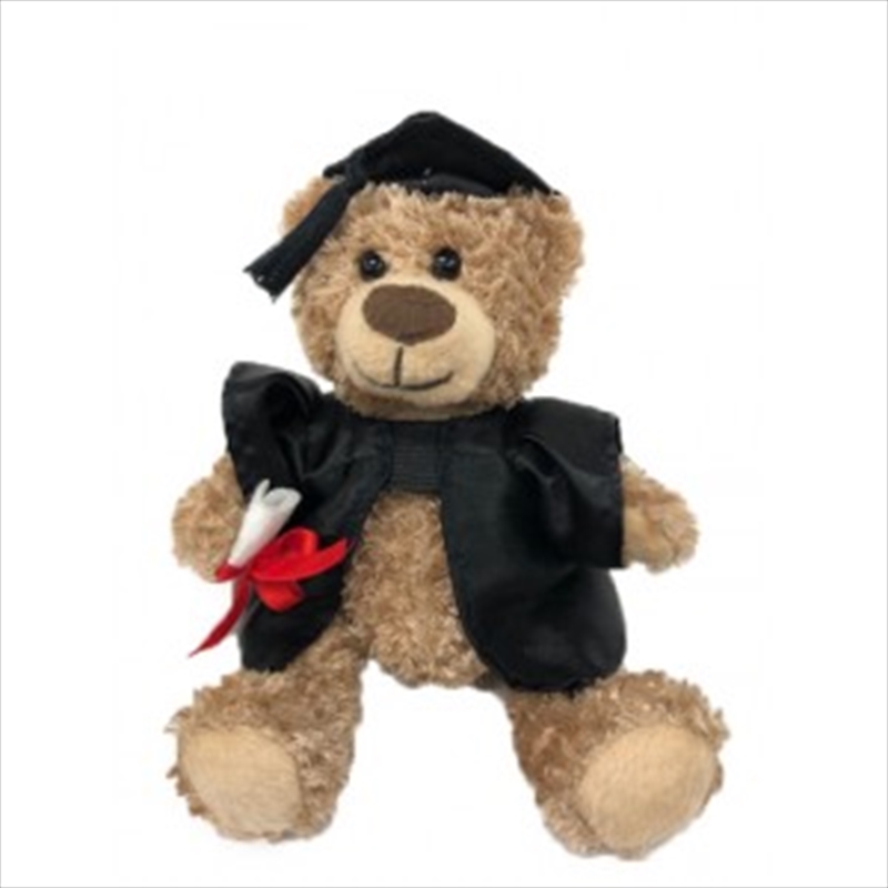 13cm Graduation Bear/Product Detail/Plush Toys