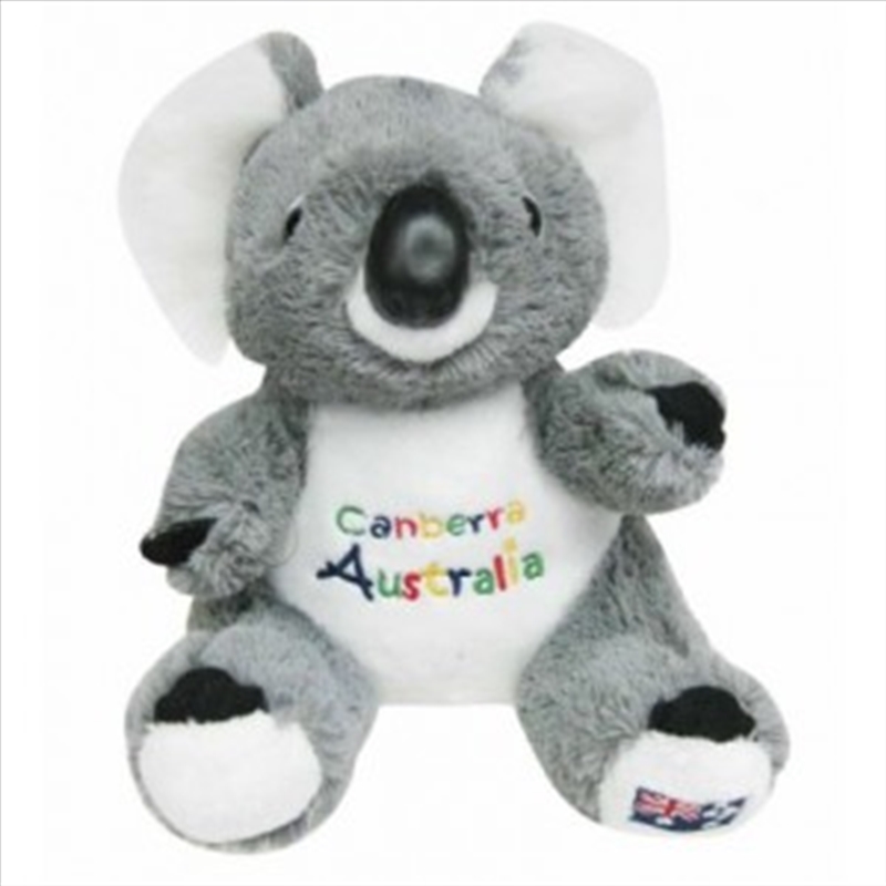 22cm Koala W/Embroidery - Canberra/Product Detail/Plush Toys
