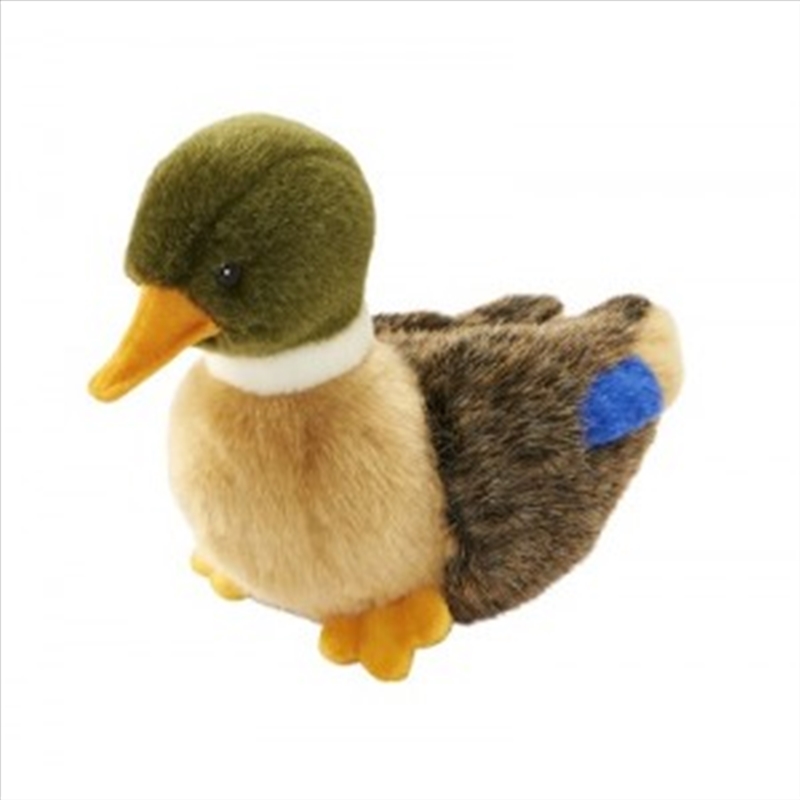 Duck Baby 19cml/Product Detail/Plush Toys