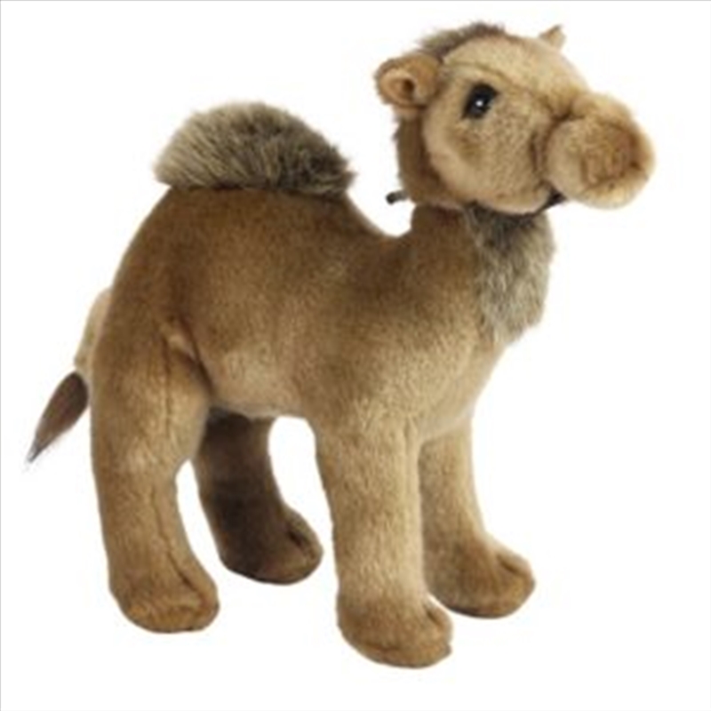 Camel 22cm H/Product Detail/Plush Toys