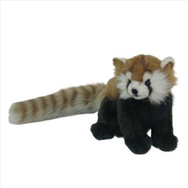 Red Panda Baby 21cm L/Product Detail/Plush Toys