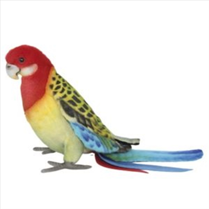 Eastern Rosella 29cm L/Product Detail/Plush Toys