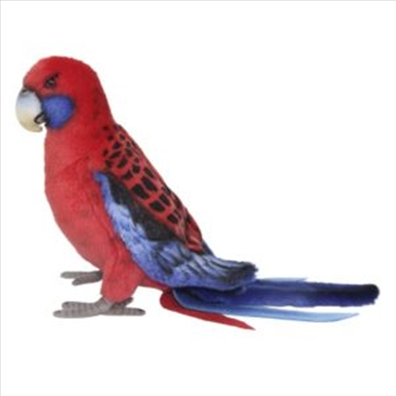 Crimson Rosella 30cm L/Product Detail/Plush Toys