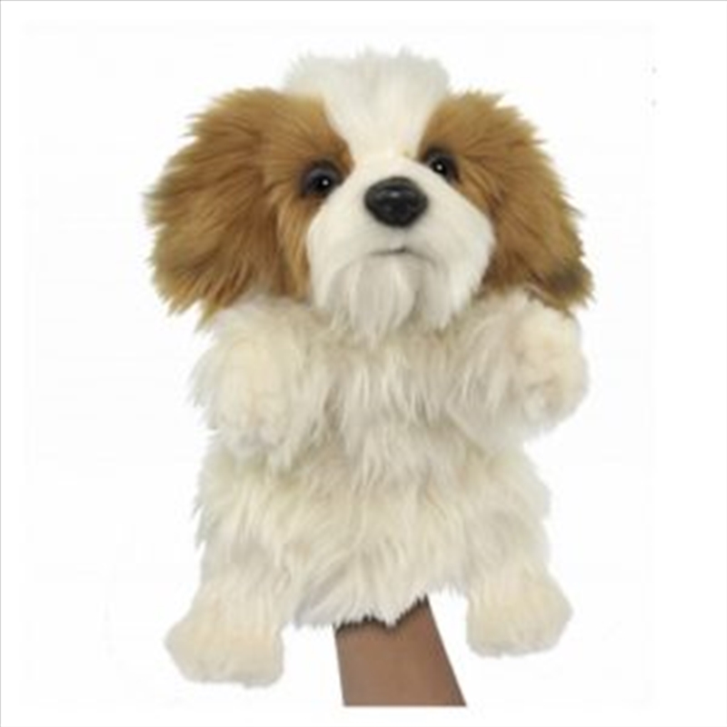 Puppet Shihtzu Puppet 37cm H/Product Detail/Toys