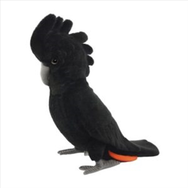 Black Cockatoo (Red Tailed) 35cm L/Product Detail/Plush Toys