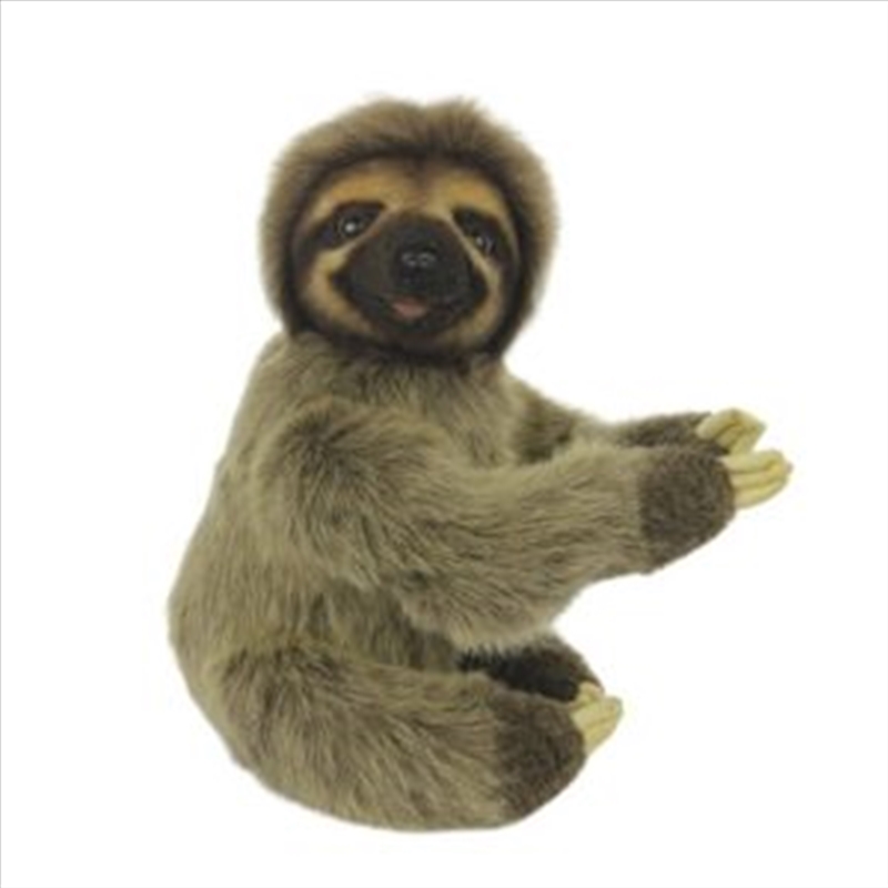 Sloth Silver Bear (Moveable) 22cm H/Product Detail/Plush Toys