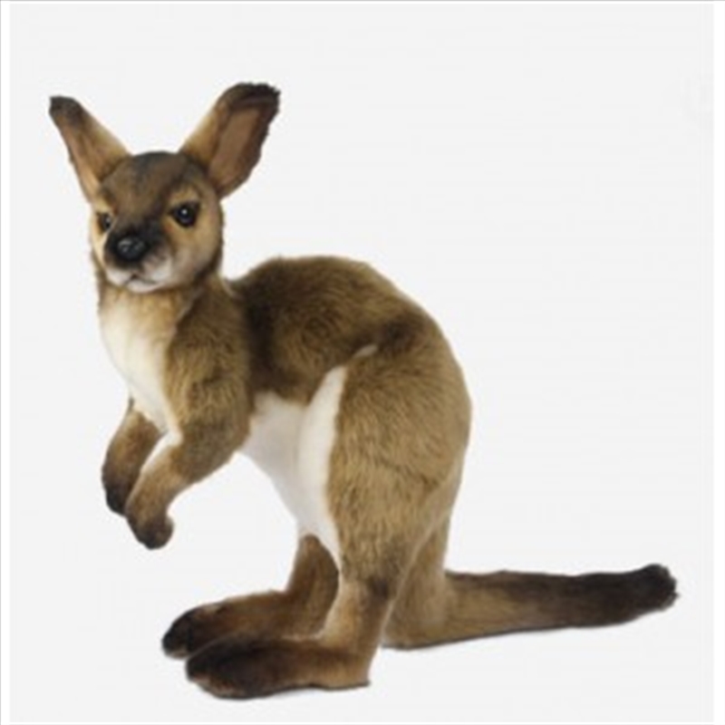Wallaby 33cm H/Product Detail/Plush Toys