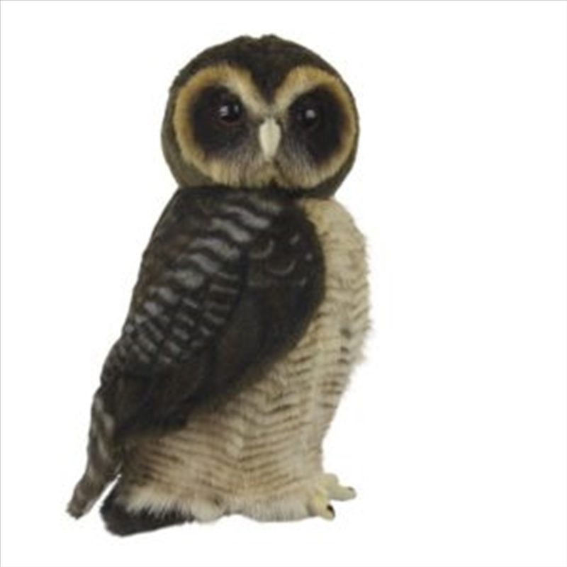 Asian Brown Wood Owl 28cm H/Product Detail/Plush Toys
