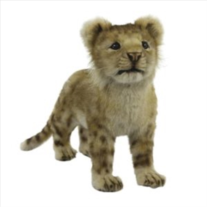 Lion Cub Standing 40cm L/Product Detail/Plush Toys