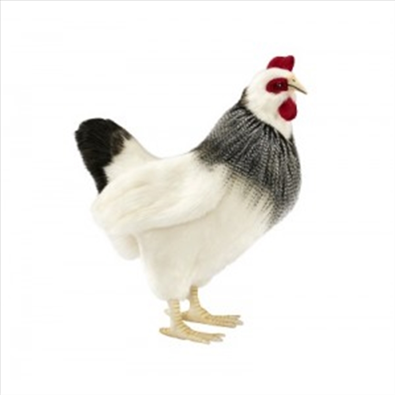 French Hen 38cmh/Product Detail/Plush Toys