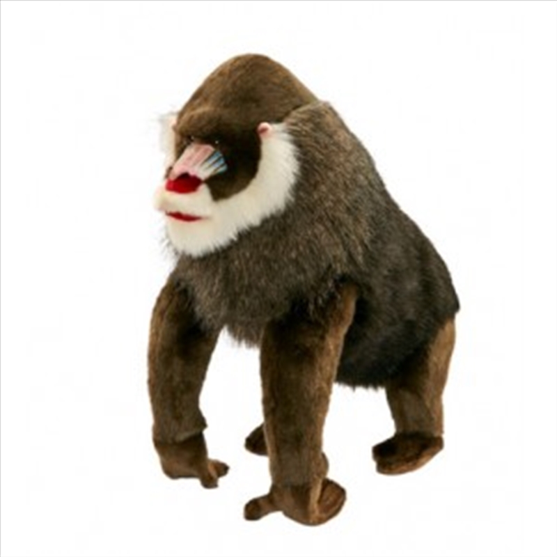 Mandrill 44cm/Product Detail/Plush Toys