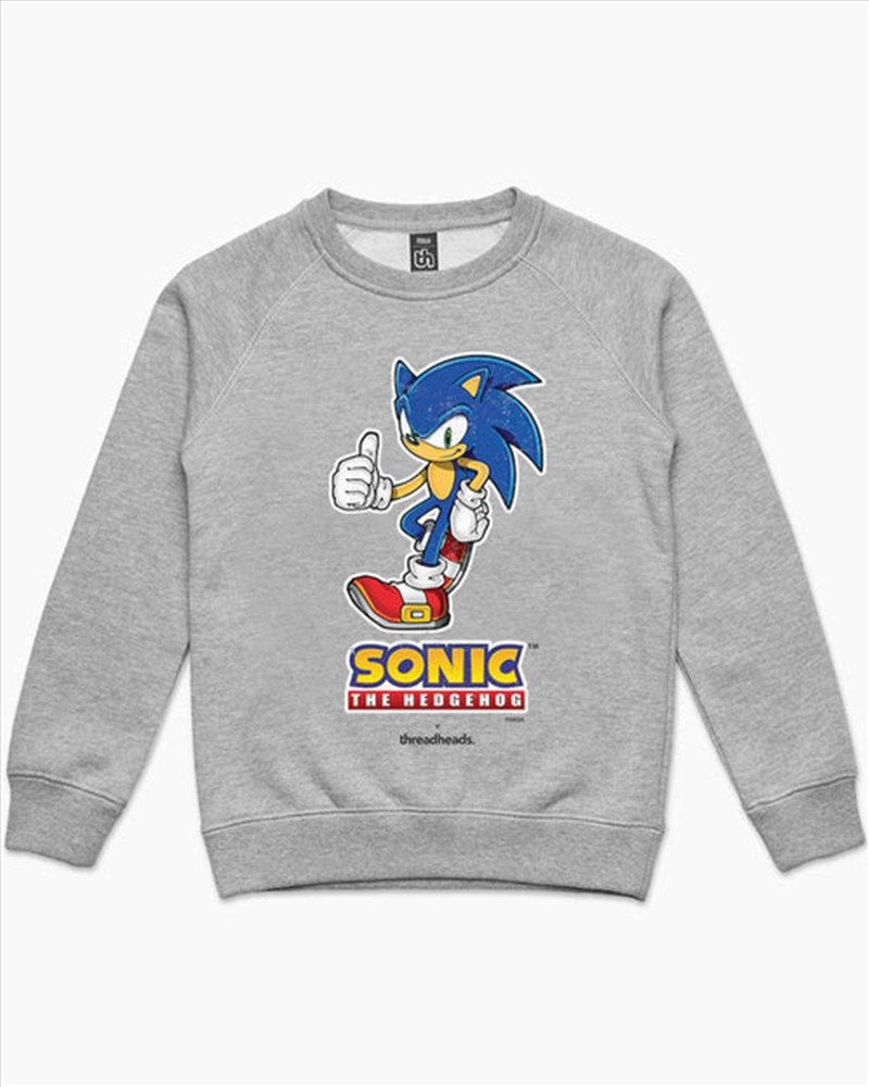 Sonic The Hedgehog Kids Jumper - Grey - Size 10/Product Detail/Outerwear