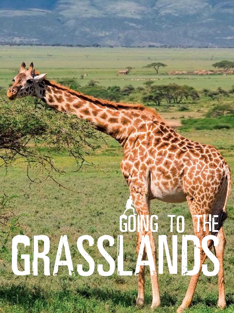 Going to the Grassland/Product Detail/Animals & Nature