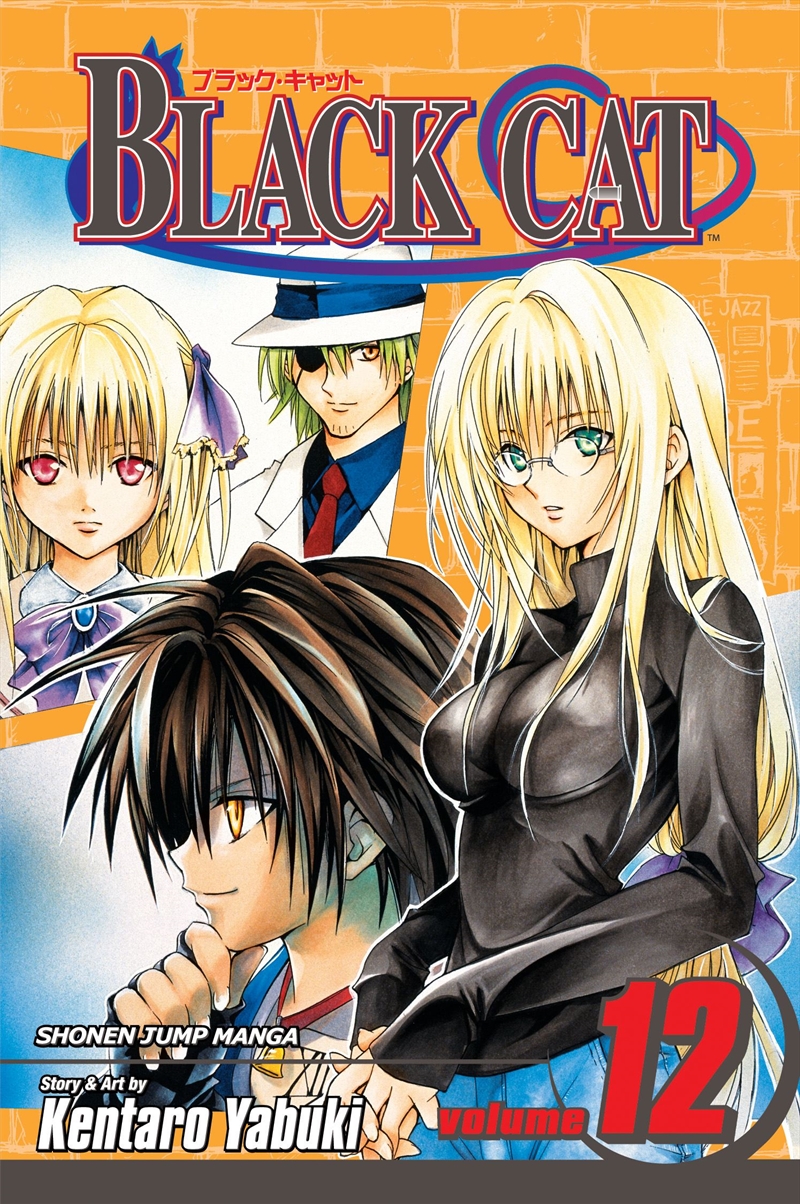 Black Cat, Vol. 12/Product Detail/Manga