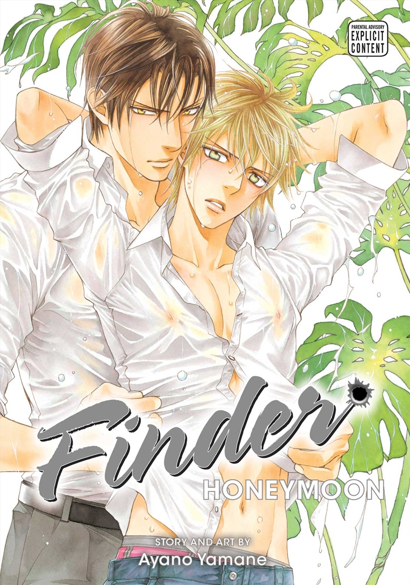 Finder Deluxe Edition: Honeymoon, Vol. 10/Product Detail/Manga