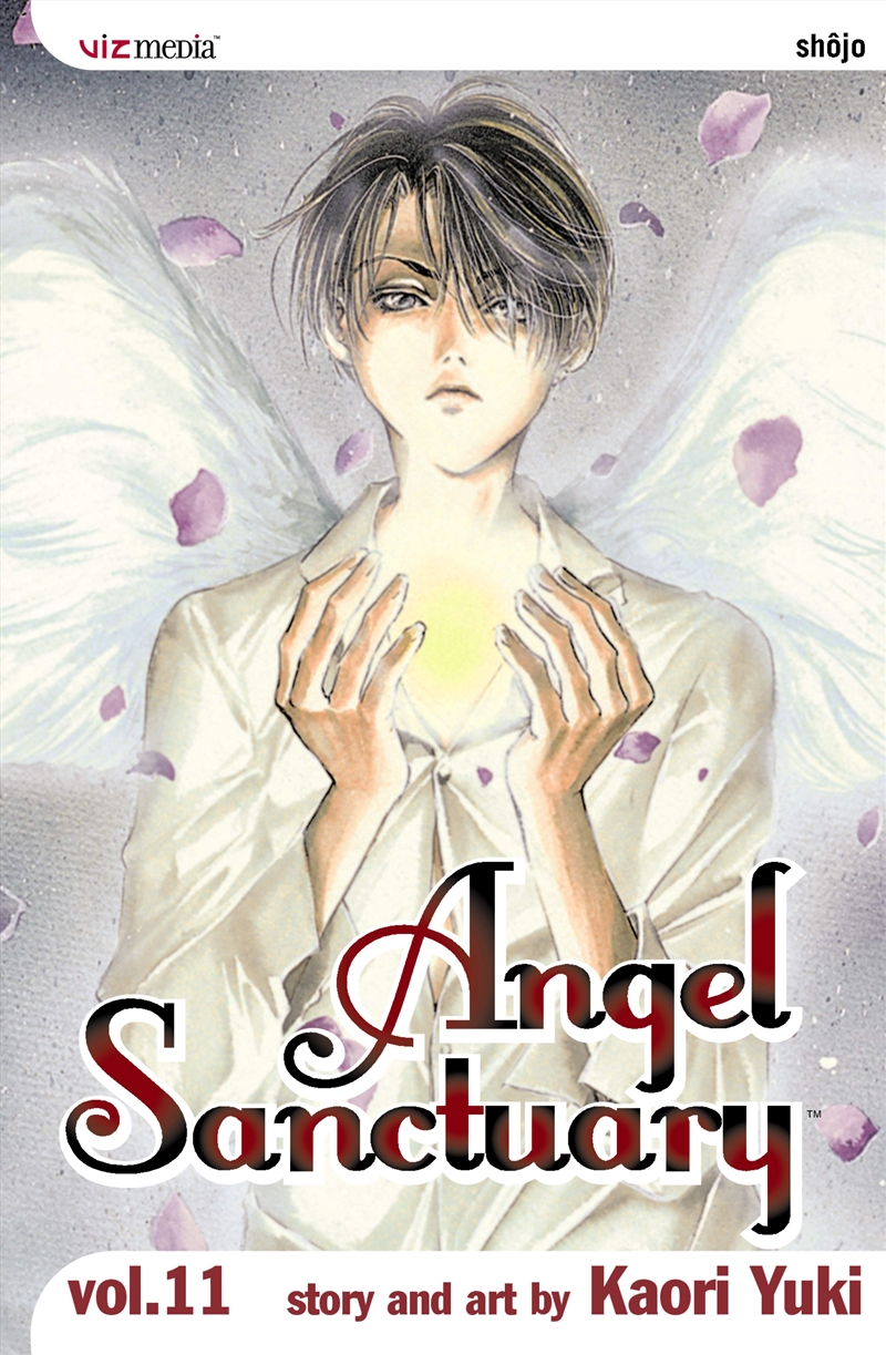 Angel Sanctuary, Vol. 11/Product Detail/Manga