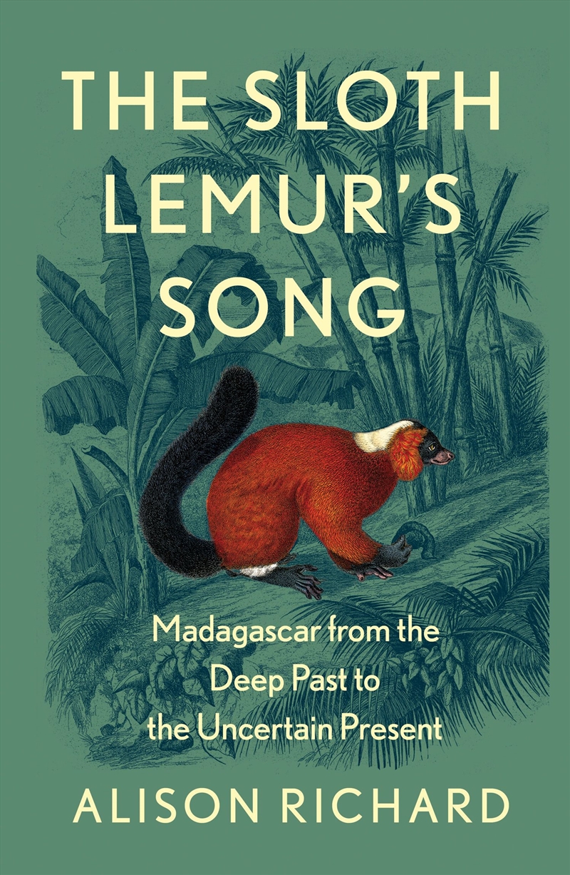 Sloth Lemurs Song/Product Detail/Animals & Nature