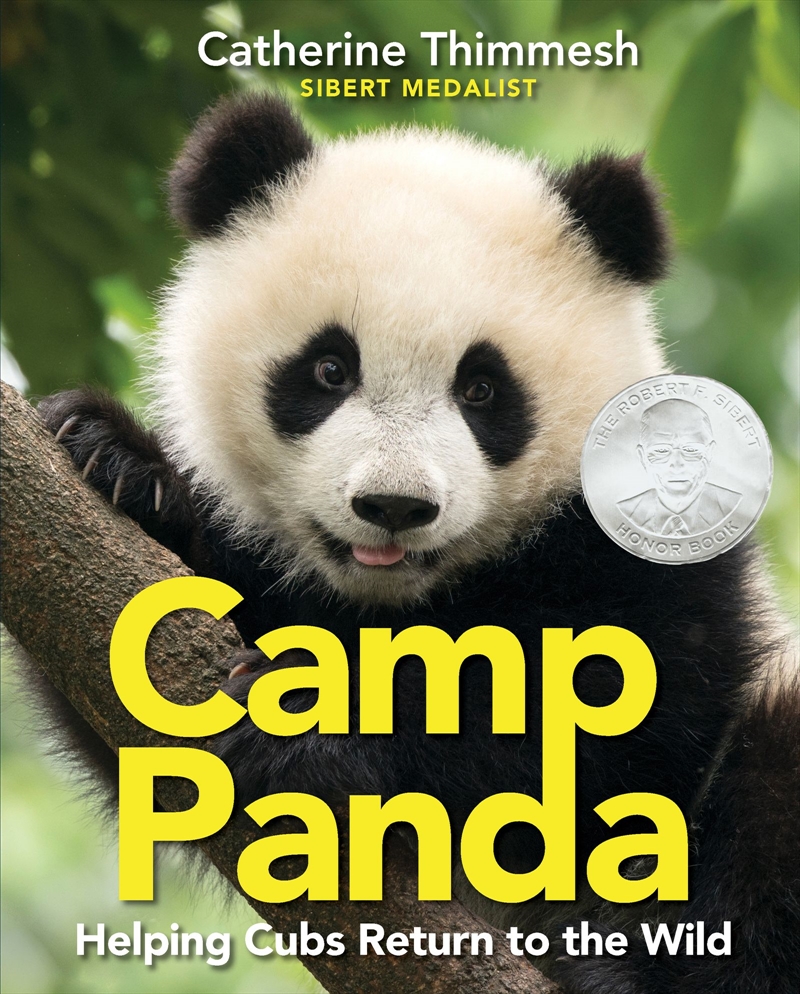 Camp Panda/Product Detail/Childrens