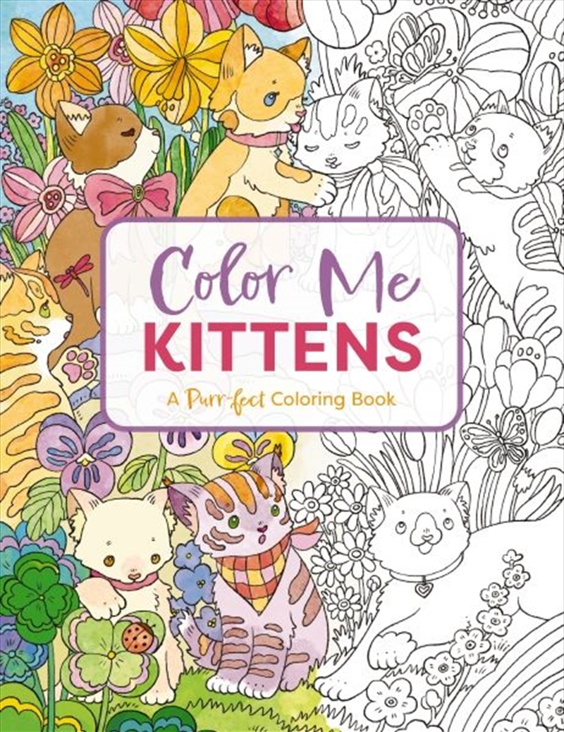 Color Me Kittens/Product Detail/Crafts & Handiwork