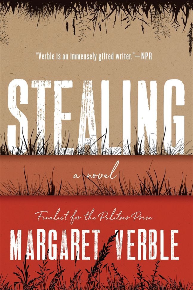 Stealing/Product Detail/General Fiction Books
