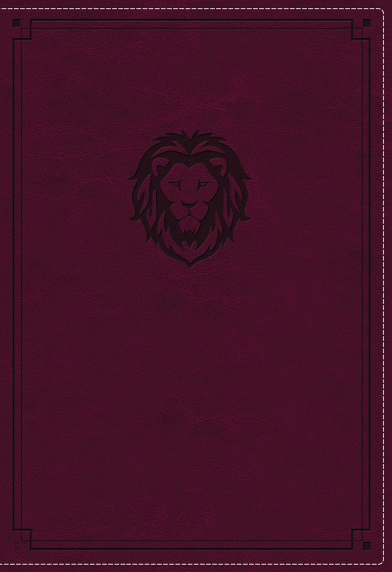 Kjv Thinline Bible Youth Edition [Burg]/Product Detail/Religion & Beliefs