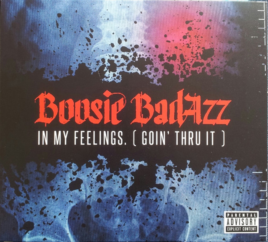 In My Feelings (Goin' Thru It)/Product Detail/Rap