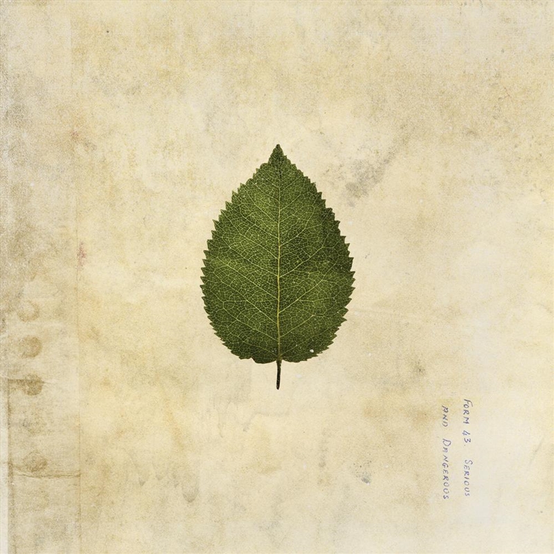 The Cold Still (Army Green Vinyl)/Product Detail/Rock/Pop