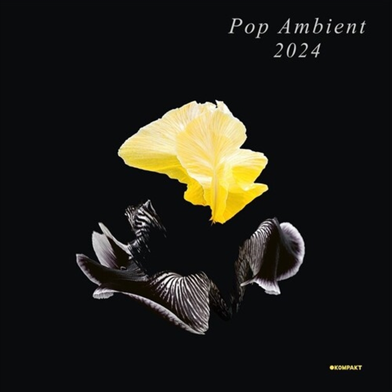 Pop Ambient 2024/Product Detail/Dance