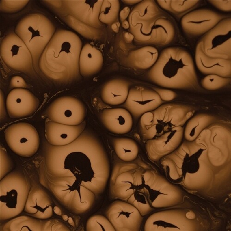 SLG3/Product Detail/Dance