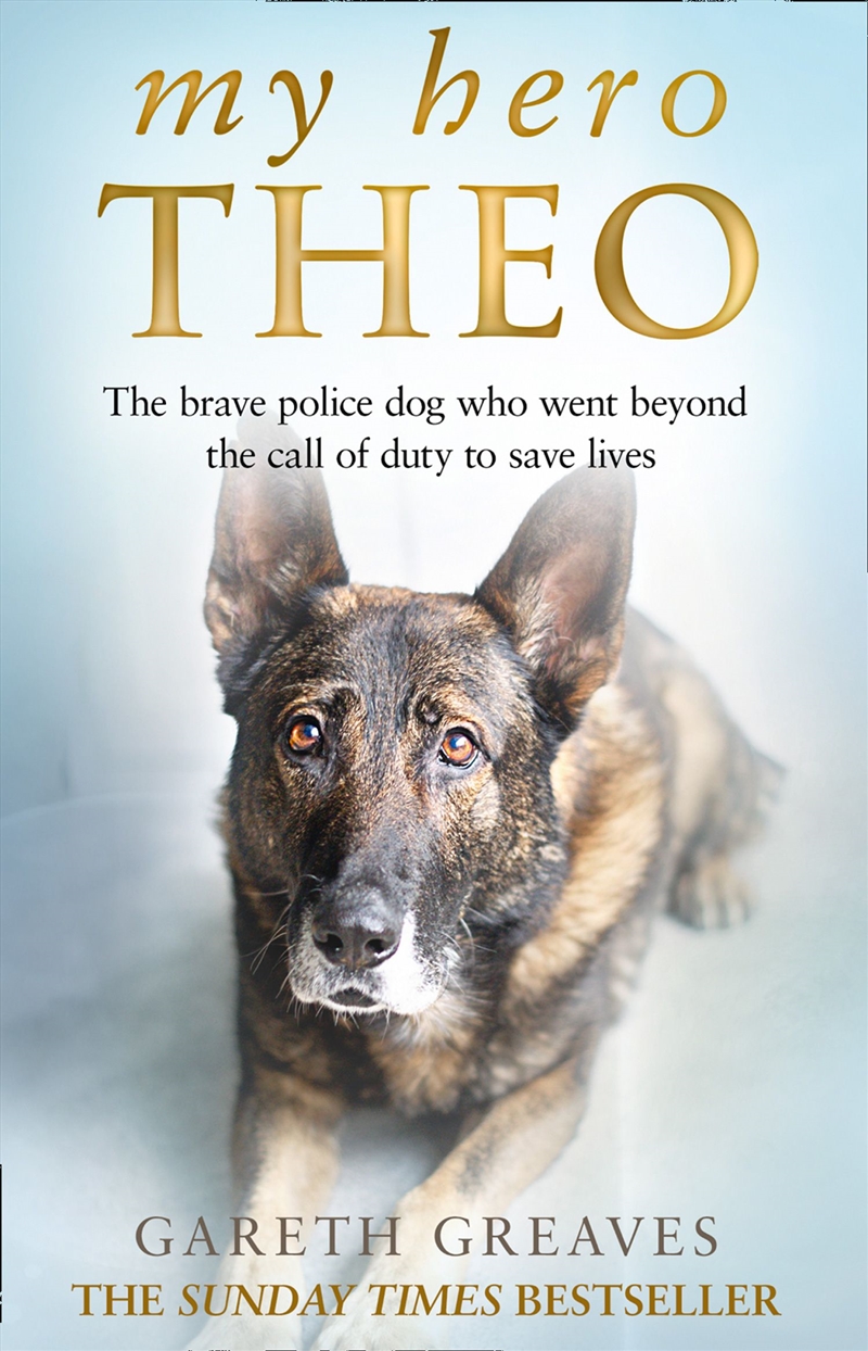 My Hero Theo/Product Detail/True Stories and Heroism