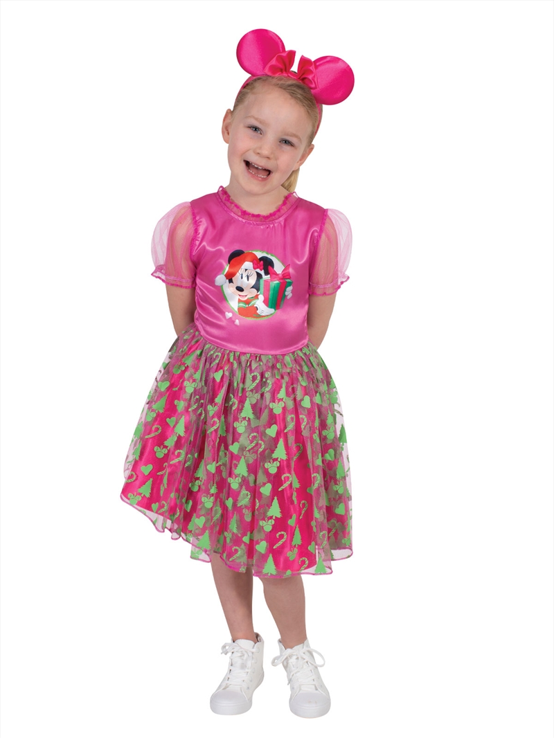 Minnie Mouse Christmas Tutu Dress - Size 4-6/Product Detail/Costumes