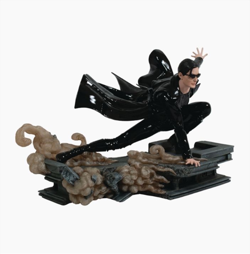 The Matrix - Trinity Gallery PVC Statue/Product Detail/Statues