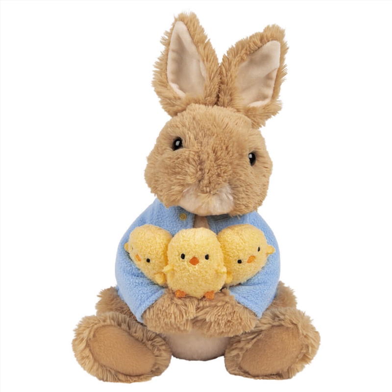 Buy Peter Rabbit With Chicks 30Cm Online | Sanity
