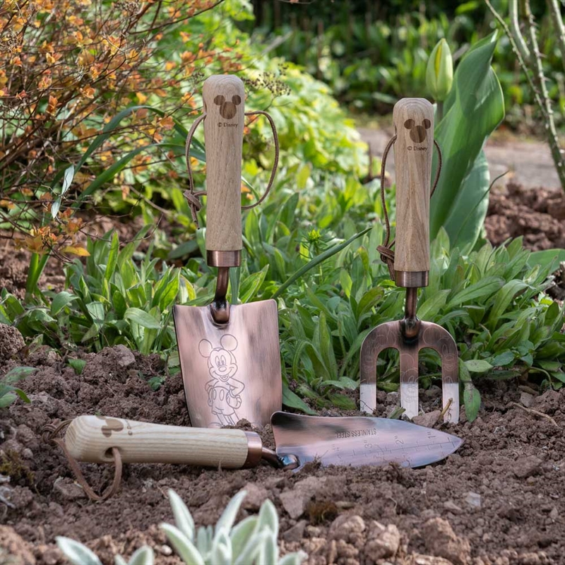 Mickey & Minnie Adult Luxury Gardening Tool Set/Product Detail/Garden
