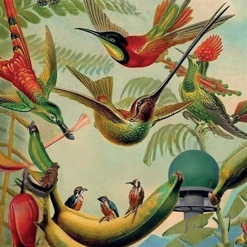 Radar Keroxen, Vol.4/Product Detail/Dance