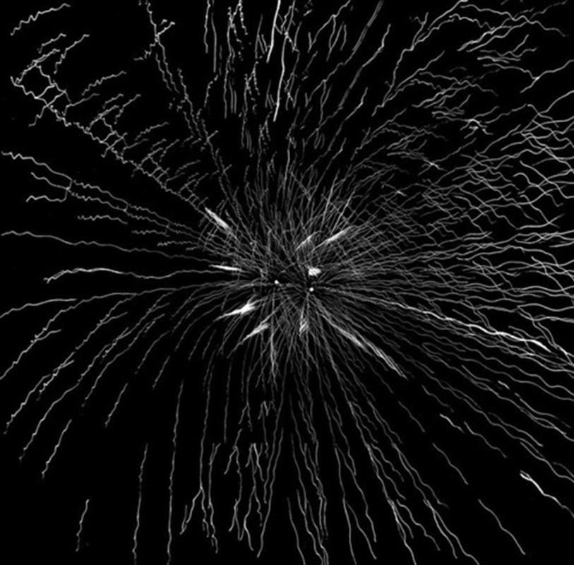 Album/Product Detail/Dance