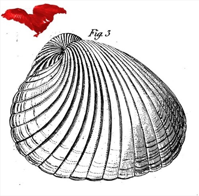 Koma West/Product Detail/Jazz