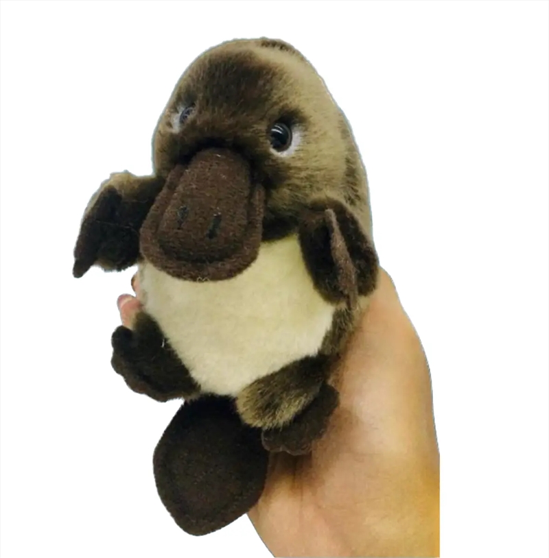 Baby Handfuls Platypus 13cm/Product Detail/Plush Toys
