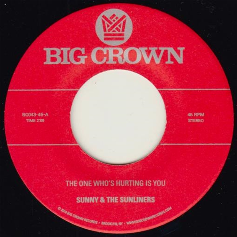 One Who's Hurting You Is / Should I Take You Home/Product Detail/R&B